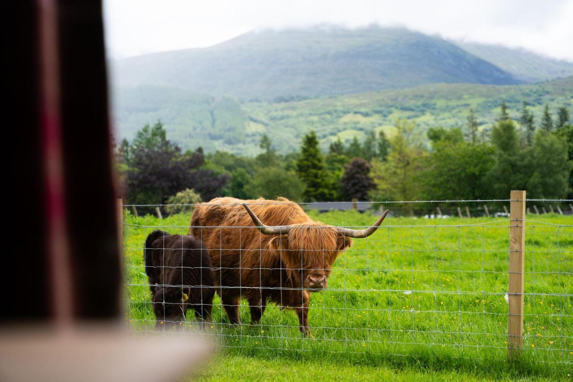 Ben Nevis Pod Villa Fort William Eksteriør billede